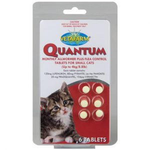 Quantum Tabs Cats Small