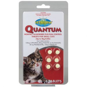 Quantum Tablets Cats Large