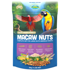 Macaw Nuts