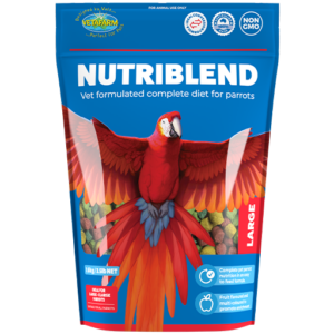 Nutriblend Large