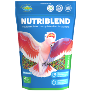 Nutriblend Small