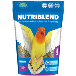 Nutriblend Mini