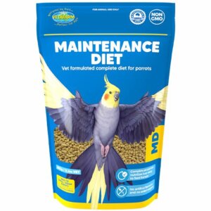 Maintenance Diet
