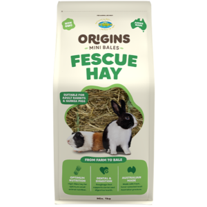 Origins Fescue Hay Mini Bale