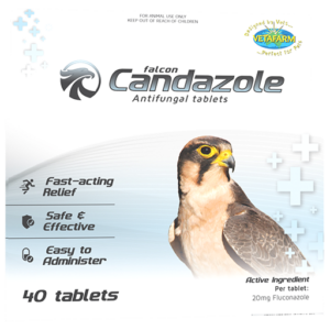 Falcon Candazole