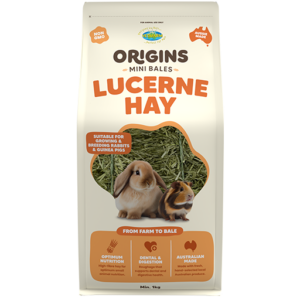 Origins Lucerne Hay Mini Bale